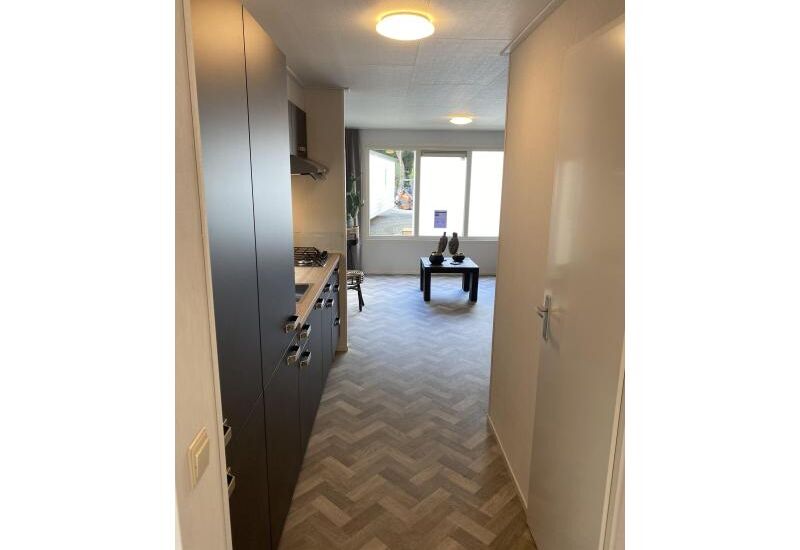 Sunhouse Limited  10 x 4