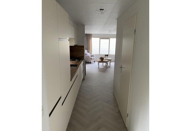 Sunhouse Limited  12 x 4