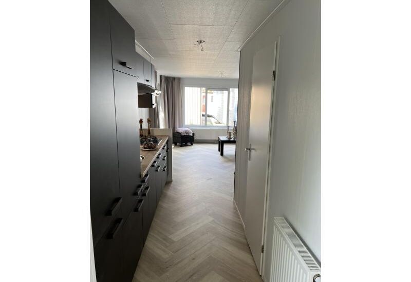 Sunhouse Limited  11 x 4