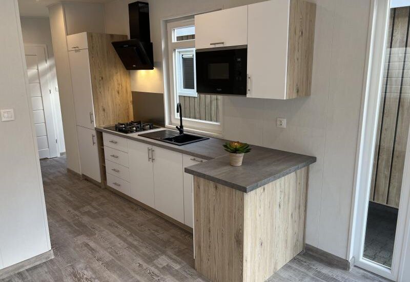 Victorino Lessenaar  10.50 x 4.10