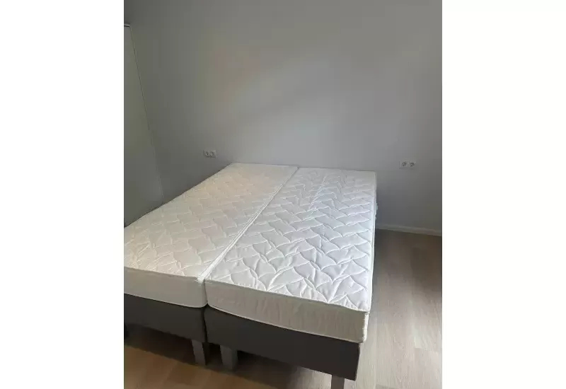 Apollo Lessenaar  12.10 x 4.30