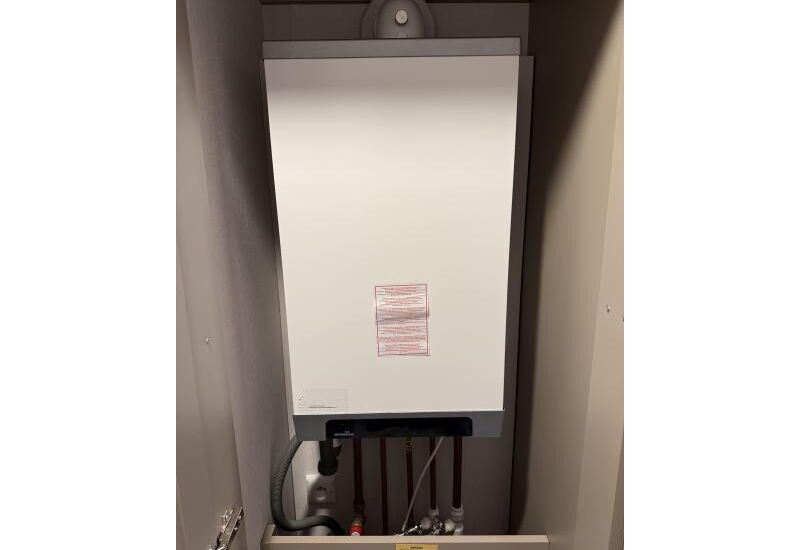 Shelvy Lessenaar  1000