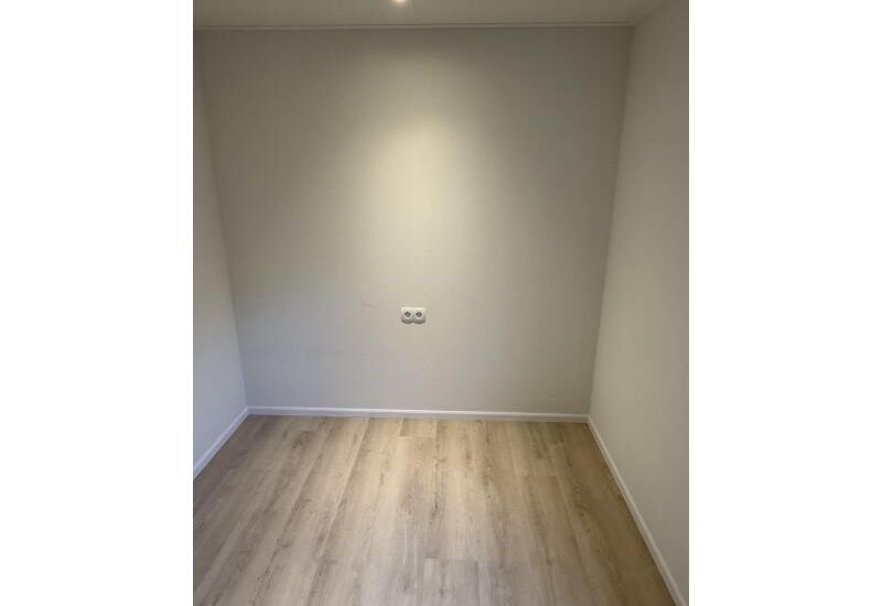 Apollo Special 12.10 x 4.25/4