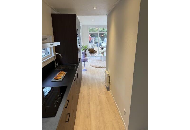 Apollo Special 12.10 x 4.25/4