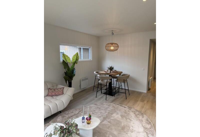 Apollo Special 12.10 x 4.25/4