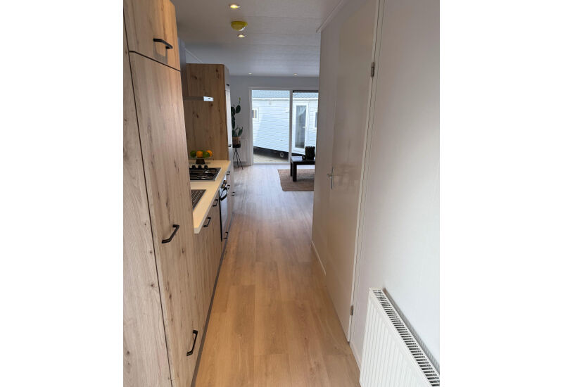 Apollo Classic  11 x 4